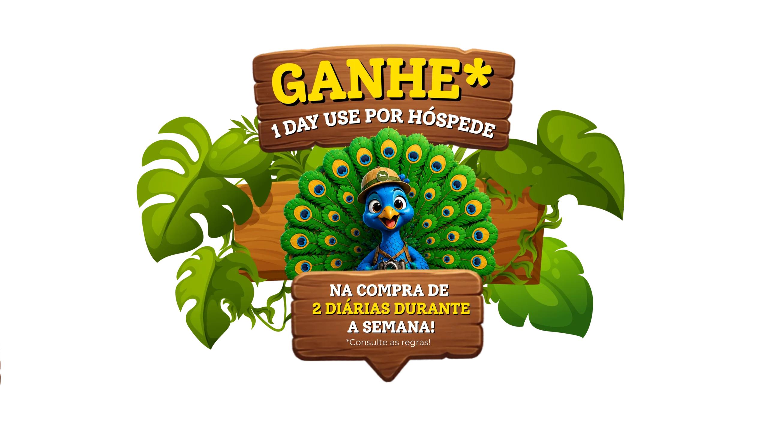 Popup promocional
